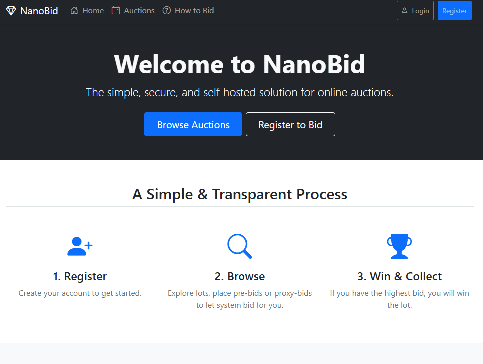 NanoBid website preview