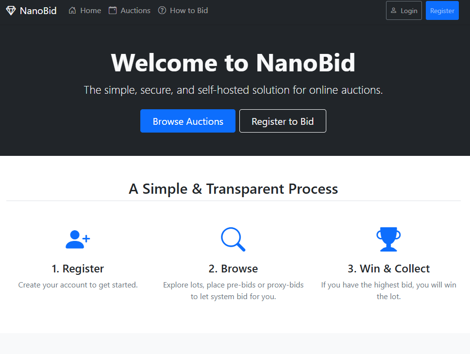 NanoBid website preview